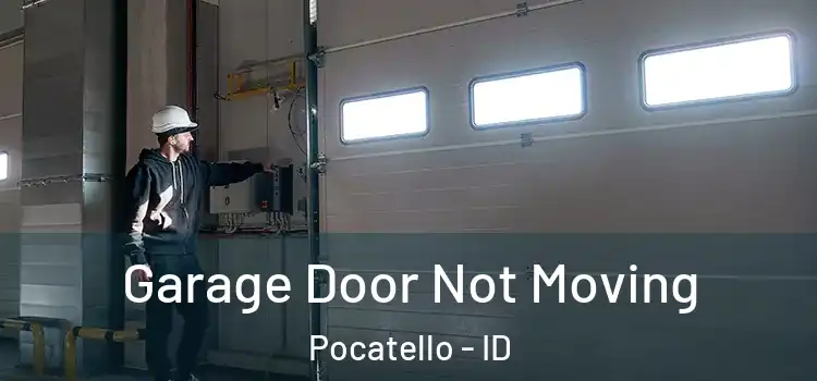  Garage Door Not Moving Pocatello - ID
