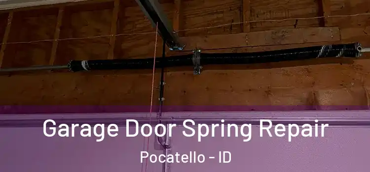 Garage Door Spring Repair Pocatello - ID
