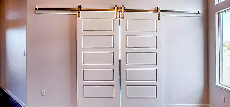 Glass Barn Door with Installation Hardware Kit Pocatello