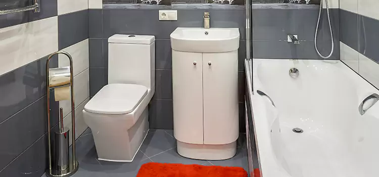 Hansgrohe Shaving Mirror Pocatello