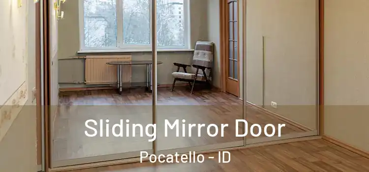  Sliding Mirror Door Pocatello - ID